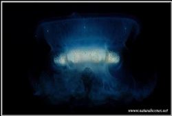My last entry from Perhentian in 2006, I call it “The lig... by Yves Antoniazzo 